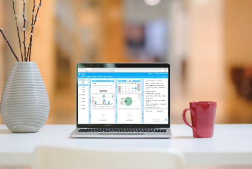 erp企業(yè)管理軟件 進(jìn)銷存管理